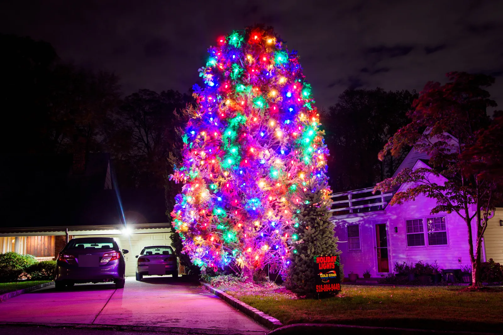 Tall front yard tree in Glen Cove wrapped top to bottom in multicolor Christmas lights at night